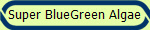 Super BlueGreen Algae